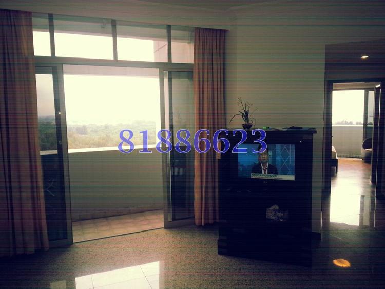 The Bayshore (D16), Condominium #85236452